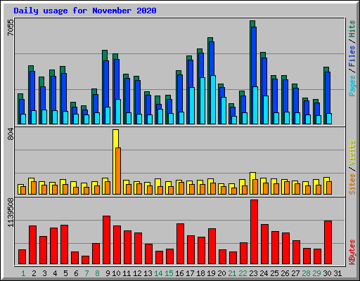 Daily usage for November 2020