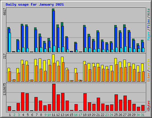 Daily usage for January 2021