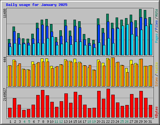 Daily usage for January 2025