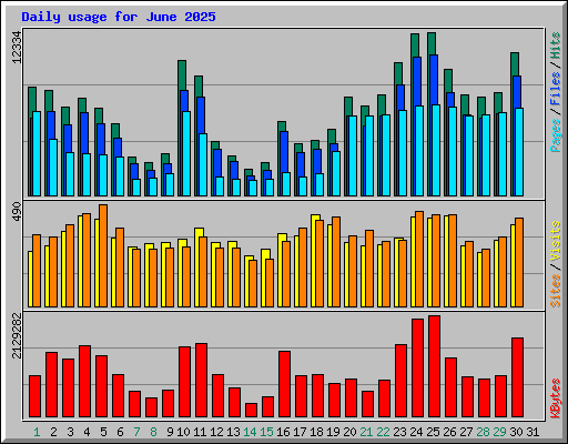 Daily usage for June 2025