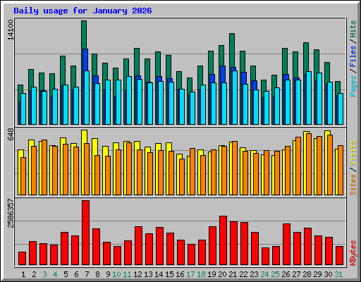 Daily usage for January 2026