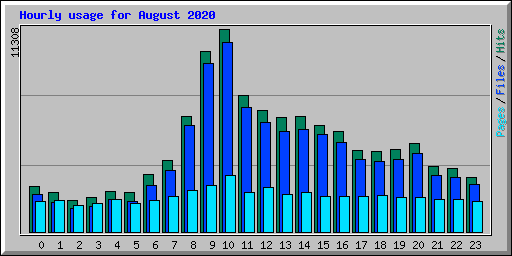 Hourly usage for August 2020