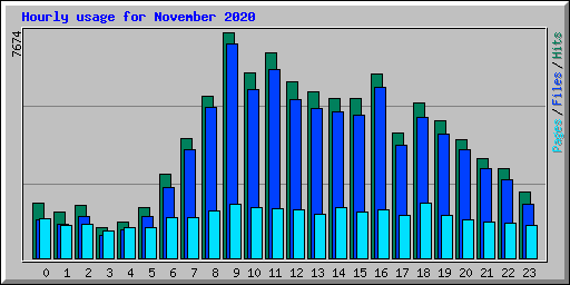Hourly usage for November 2020
