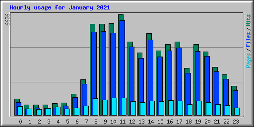 Hourly usage for January 2021