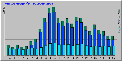 Hourly usage for October 2024