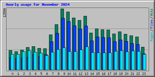 Hourly usage for November 2024