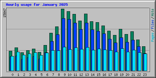 Hourly usage for January 2025