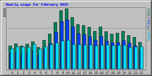 Hourly usage for February 2025