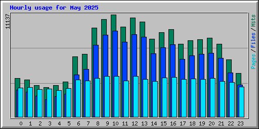 Hourly usage for May 2025