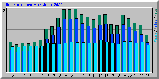 Hourly usage for June 2025