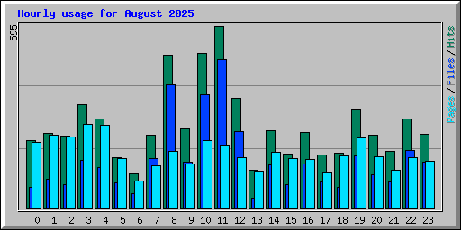Hourly usage for August 2025