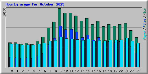 Hourly usage for October 2025