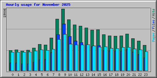 Hourly usage for November 2025