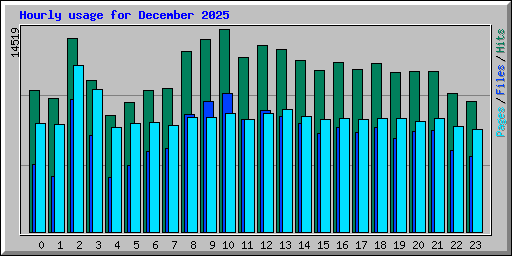 Hourly usage for December 2025