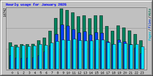 Hourly usage for January 2026