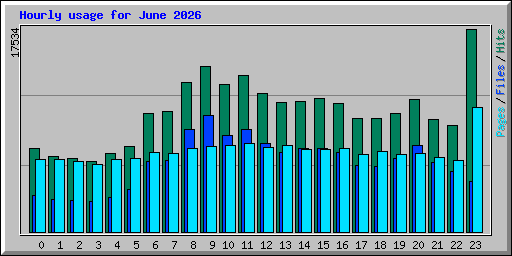 Hourly usage for June 2026